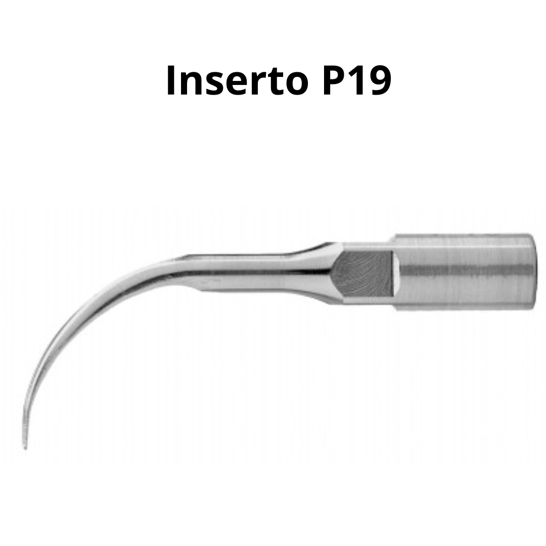Inserto P19