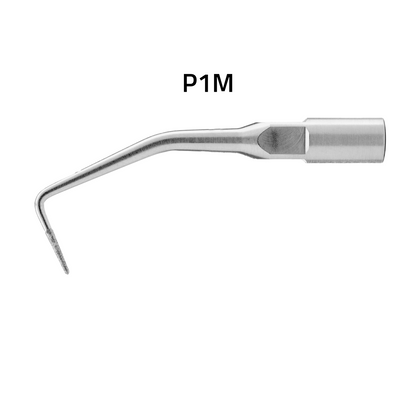 P1M - CIRÚRGICA LONGA